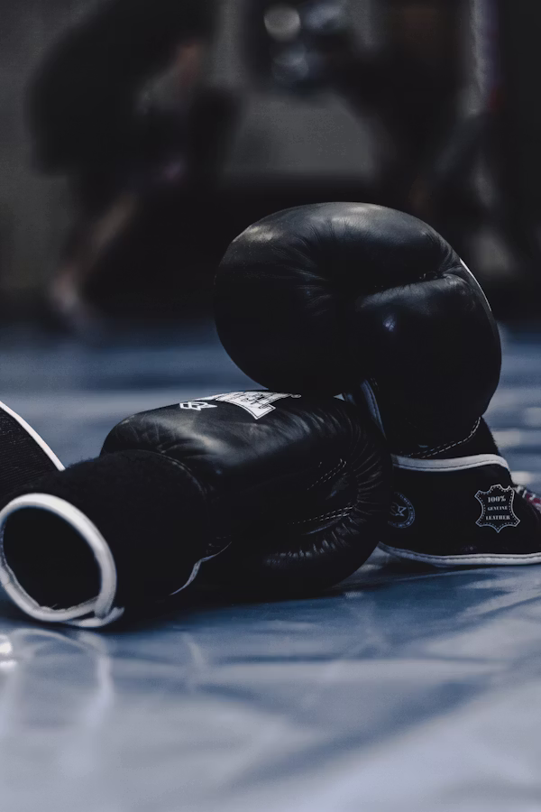 Pro Leather Boxing Gloves